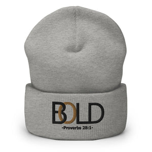 Bold 'Series' Beanie (Grey)